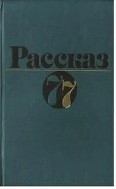 Георгий Семёнов Фригийские васильки обложка книги