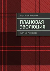 Александр Пташкин - Плановая эволюция. Сборник рассказов