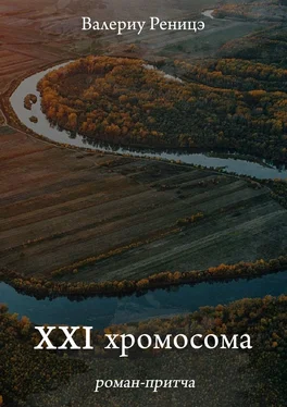 Валериу Реницэ XXI хромосома. Роман-притча обложка книги