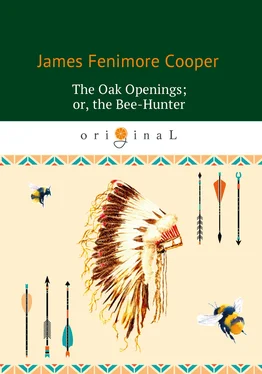 Джеймс Фенимор Купер The Oak Openings; or the Bee-Hunter обложка книги