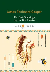 Джеймс Фенимор Купер - The Oak Openings; or the Bee-Hunter
