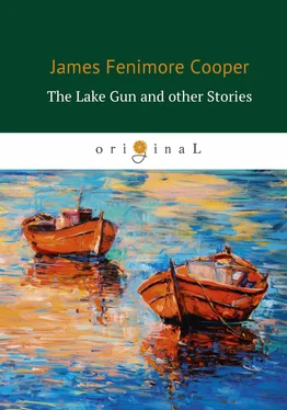 Джеймс Фенимор Купер The Lake Gun and other Stories обложка книги