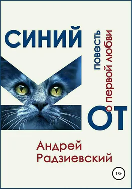 Андрей Радзиевский Синий кот. Повесть о первой любви обложка книги