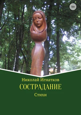 Николай Игнатков Сострадание. Сборник стихотворений обложка книги