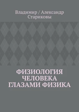 Владимир / Александр Стариковы Физиология человека глазами физика обложка книги