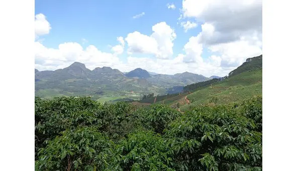 Manhuaçu Minas Gerais Поругание мысли Не мешай мысль псальму петься Пусть - фото 9