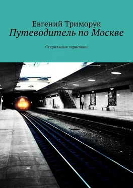 Евгений Триморук Путеводитель по Москве. Стерильные зарисовки обложка книги