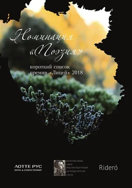 Константин Комаров Номинация «Поэзия». Короткий список премии «Лицей» 2018 обложка книги