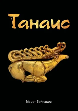 Марат Байпаков Танаис обложка книги