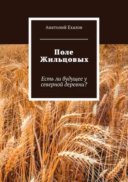 Анатолий Ехалов Поле Жильцовых. Есть ли будущее у северной деревни? обложка книги