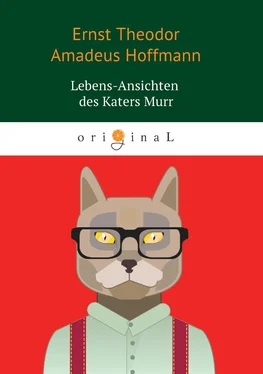 Эрнст Гофман Lebens-Ansichten des Katers Murr обложка книги