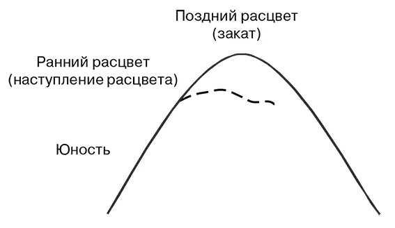 Рис 5 Этапы юности и расцвета компании В таких организациях обычно - фото 5