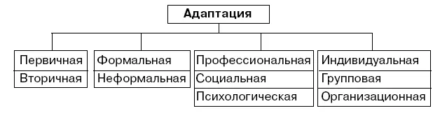 Рис 35 Виды адаптации новых сотрудников Цели адаптации Уменьшение - фото 14