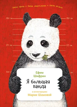 Ефим Шифрин Я большая панда обложка книги