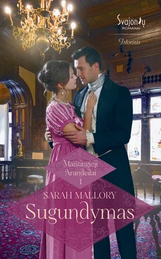 Sarah Mallory Sugundymas обложка книги