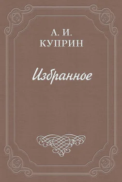 Александр Куприн Мученик моды обложка книги