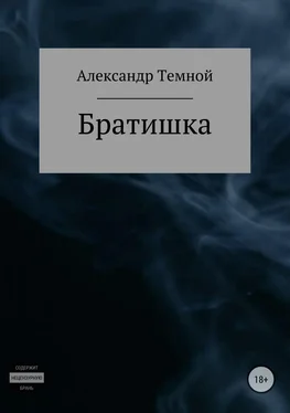 Александр Темной Братишка обложка книги