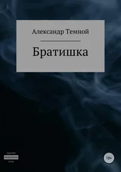 Александр Темной - Братишка