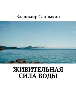 Владимир Сапрыкин Живительная сила воды обложка книги