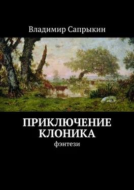 Владимир Сапрыкин Приключение Клоника. Фэнтези обложка книги