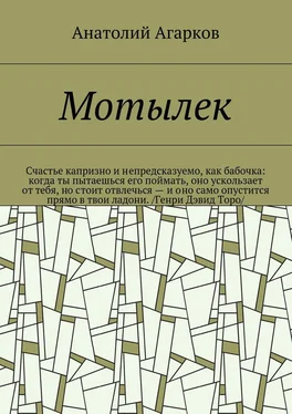 Анатолий Агарков Мотылек обложка книги