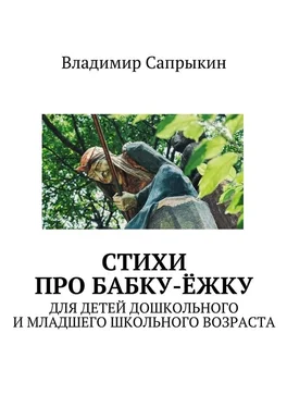 Владимир Сапрыкин Стихи про бабку-ёжку. Для детей дошкольного и младшего школьного возраста обложка книги