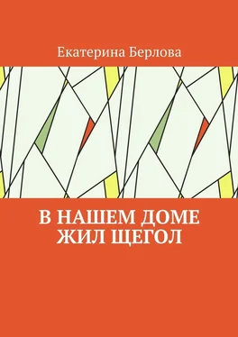 Екатерина Берлова В нашем доме жил щегол обложка книги