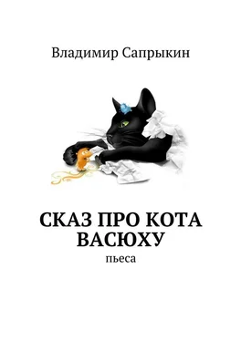 Владимир Сапрыкин Сказ про кота Васюху. Пьеса обложка книги