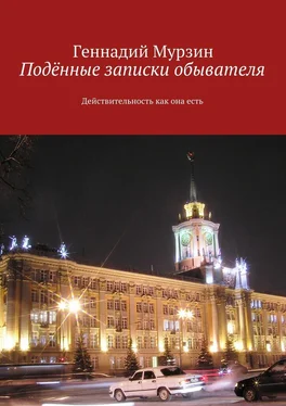 Геннадий Мурзин Подённые записки обывателя. Действительность как она есть обложка книги