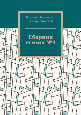 Владимир Тер-Аристокесянц Сборник стихов №4 обложка книги