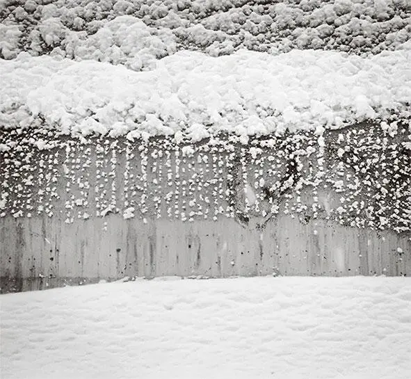 Перед самым началом снегопада Фотография автора В рассказе Борхеса - фото 49