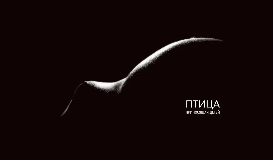 Птица приносящая детей Фотография автора Уильям Джеймс автор книги - фото 66