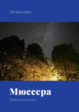 Эля Джикирба Мюссера. Сборник рассказов обложка книги