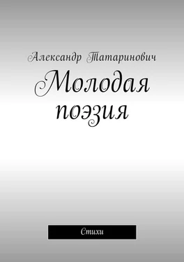 Александр Татаринович Молодая поэзия. Стихи обложка книги