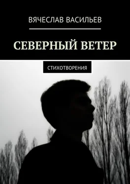 Вячеслав Васильев Северный ветер. Стихотворения обложка книги