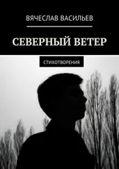 Вячеслав Васильев - Северный ветер. Стихотворения