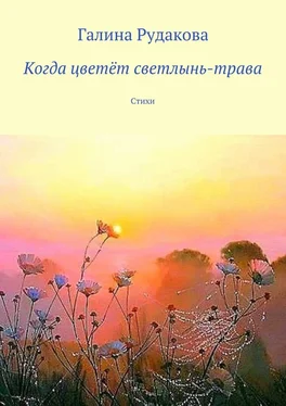 Галина Рудакова Когда цветёт светлынь-трава. Стихи обложка книги