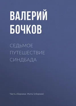 Валерий Бочков Седьмое путешествие Синдбада обложка книги