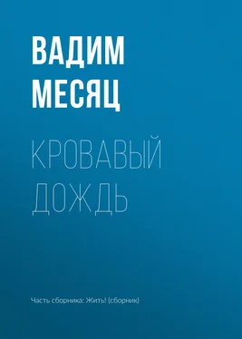 Вадим Месяц Кровавый дождь обложка книги