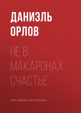 Даниэль Орлов Не в макаронах счастье обложка книги