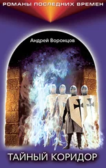 Андрей Воронцов - Тайный коридор