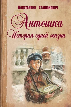 Константин Станюкович Антошка. История одной жизни обложка книги