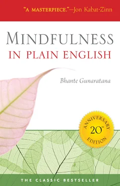 Henepola Gunaratana Mindfulness in Plain English обложка книги