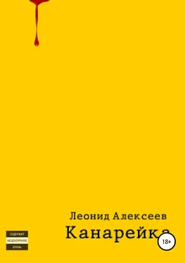 Леонид Алексеев Канарейка обложка книги