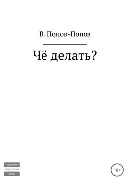 Владислав Попов Чё делать? обложка книги