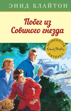 Энид Блайтон Побег из Совиного гнезда обложка книги