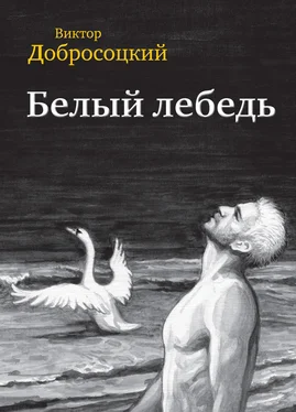 Виктор Добросоцкий Белый лебедь (сборник) обложка книги