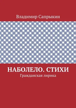 Владимир Сапрыкин Наболело. Стихи. Гражданская лирика обложка книги