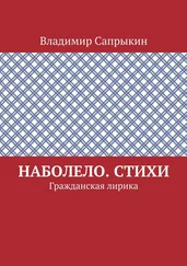Владимир Сапрыкин - Наболело. Стихи. Гражданская лирика