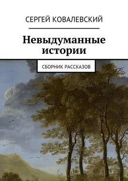 Сергей Ковалевский Невыдуманные истории. Сборник рассказов обложка книги